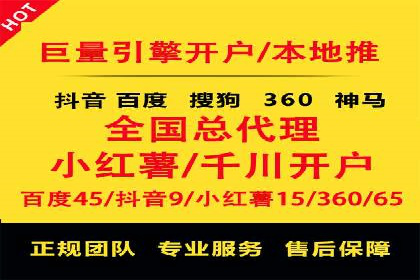 某某SEM服务公司成功案例：从数据出发的营销策略